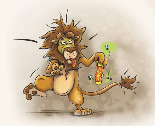 budi zoknis oroszlan